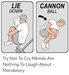 🐣 25+ Best Memes About Lie Down Try Not to Cry Cry a Lot Mem